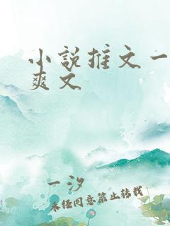小说推文一口气爽文