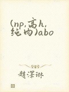 (np,高h,纯肉)abo
