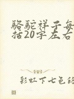 骆驼祥子每章概括20字左右