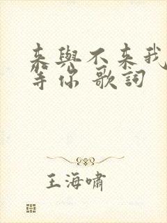 来与不来我都在等你 歌词