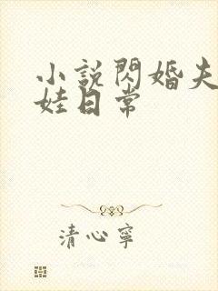 小说闪婚夫妻宠娃日常