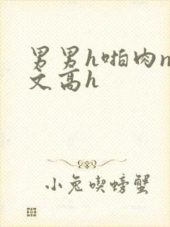 男男h啪肉np文高h