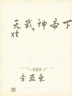 天武神帝下载txt