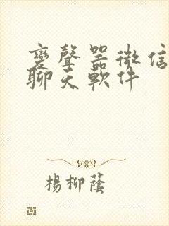 变声器微信语音聊天软件