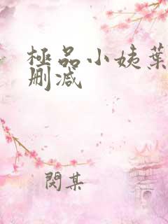 极品小姨叶凡无删减