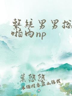 系统男男总受h啪肉np