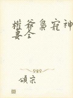 权爷枭宠神秘娇妻全