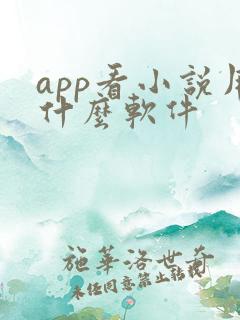 app看小说用什么软件
