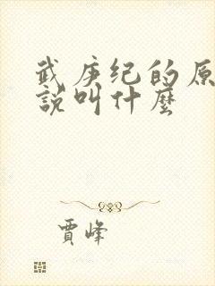 武庚纪的原著小说叫什么