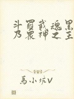 斗罗武魂黑龙吾乃众神之主小说免费阅读