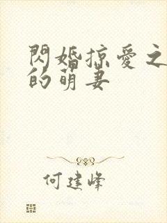 闪婚掠爱之帝少的萌妻