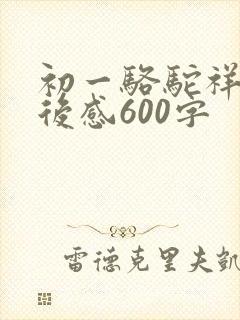 初一骆驼祥子读后感600字