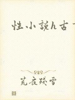 性小说h古言