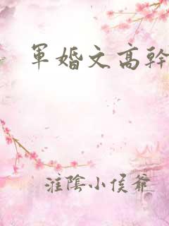 军婚文高干文