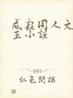 成毅同人文双男主小说