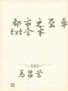 都市之至尊战神txt全本