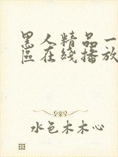 黑人精品一区二区在线播放