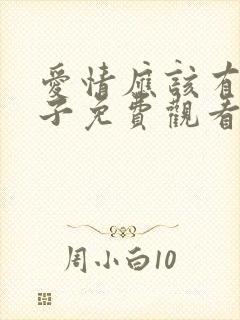 爱情应该有的样子免费观看电视剧全集