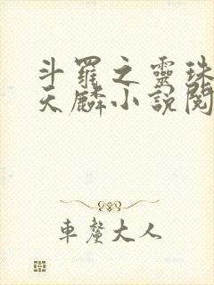 斗罗之灵珠神剑天麟小说阅读版