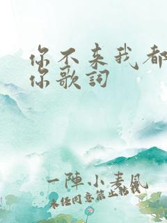 你不来我都在等你歌词