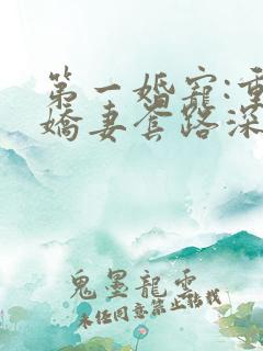 第一婚宠:重生娇妻套路深