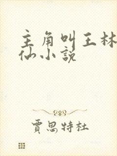 主角叫王林的修仙小说