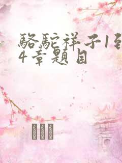 骆驼祥子1到24章题目