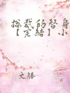 总裁的替身前妻【完结】小说