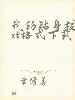 我的贴身校花txt格式下载