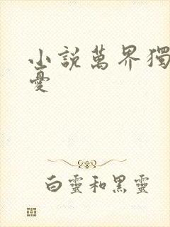 小说万界独尊无忧