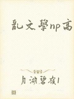 乱文学np高h