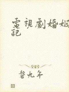 电视剧婚姻历险记