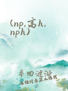 (np,高h,nph)