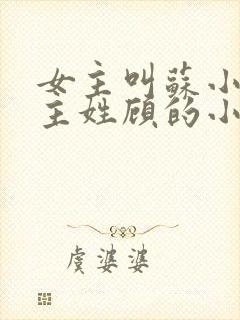 女主叫苏小小男主姓顾的小说