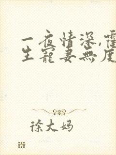 一夜情深,霍先生宠妻无度全书