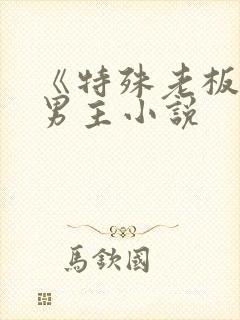 《特殊老板》双男主小说