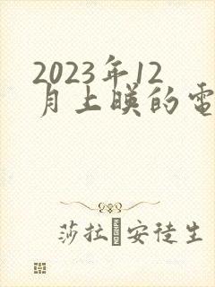 2023年12月上映的电影