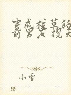 穿成校草的炮灰前男友 揽天星