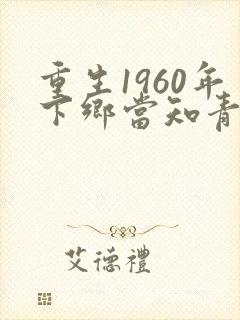 重生1960年下乡当知青的小说