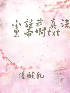 小说我真没想当皇帝啊txt