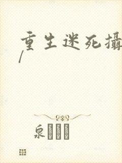 重生迷死摄政王/