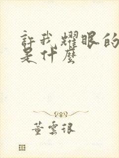 许我耀眼的结局是什么