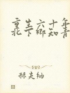 重生六十年代东北下乡知青