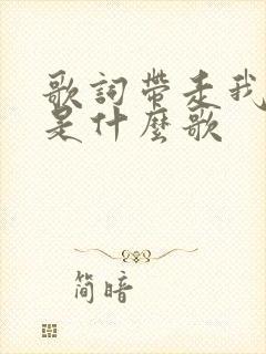 歌词带走我的心是什么歌