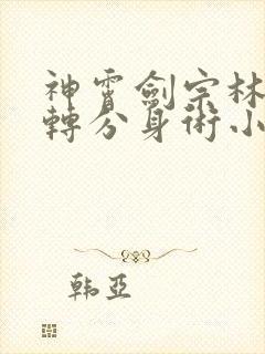 神霄剑宗林枫九转分身术小说