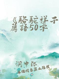 《骆驼祥子》推荐语50字
