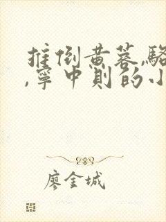 推倒黄蓉,骆冰,宁中则的小说