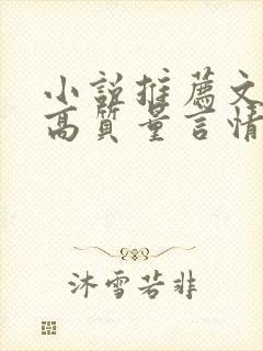 小说推荐文笔好高质量言情小说