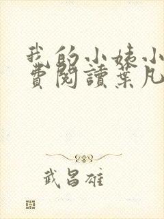 我的小姨小说免费阅读叶凡