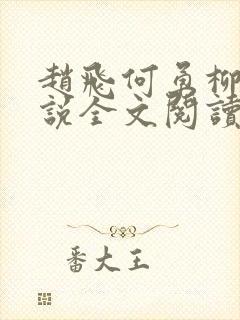 赵飞何勇柳颖小说全文阅读最新章节